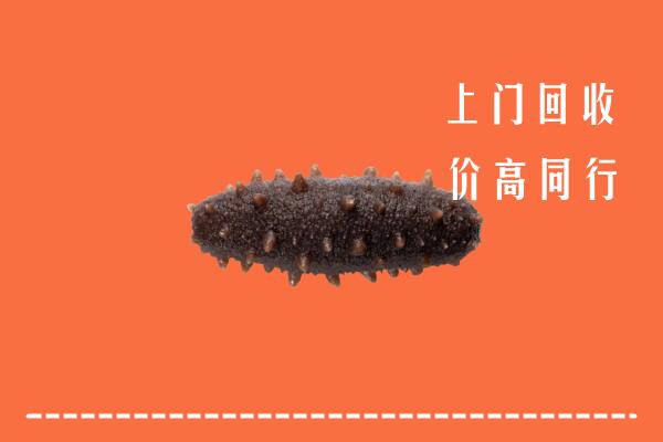 菏泽市牡丹回收海参