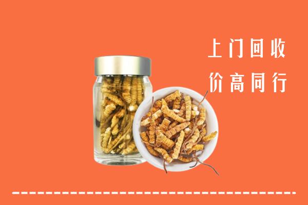 菏泽市牡丹回收冬虫夏草